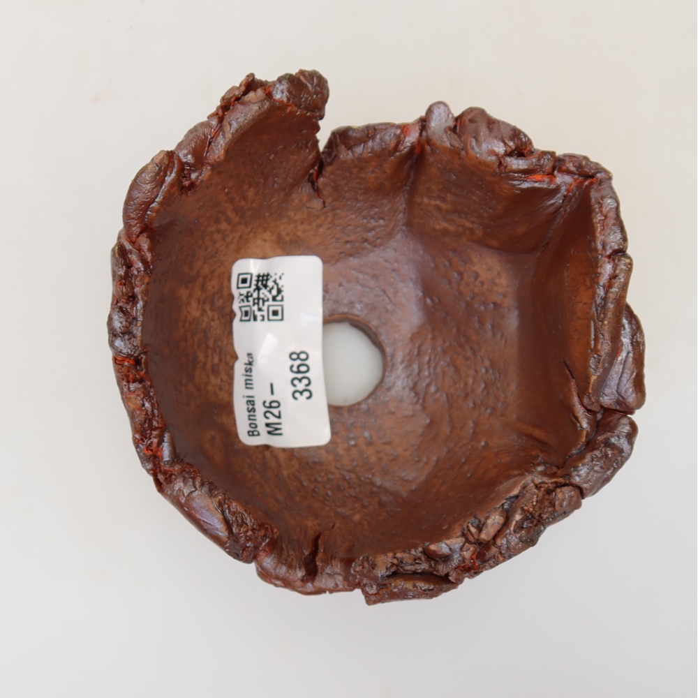 Ceramiczna skorupa 9,5 x 9 x 6 cm, kolor brązowy