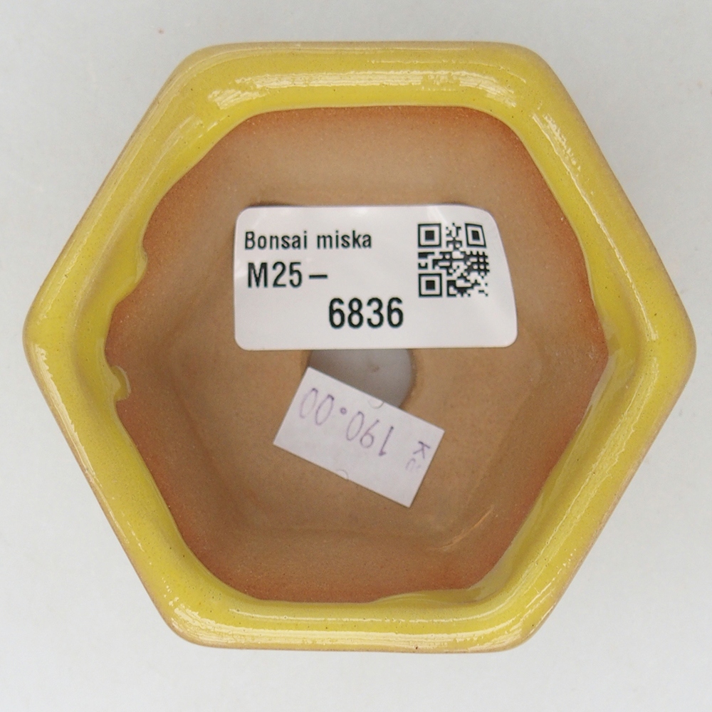 Ceramiczna miska do bonsai 7,5 x 7 x 4 cm, żółta
