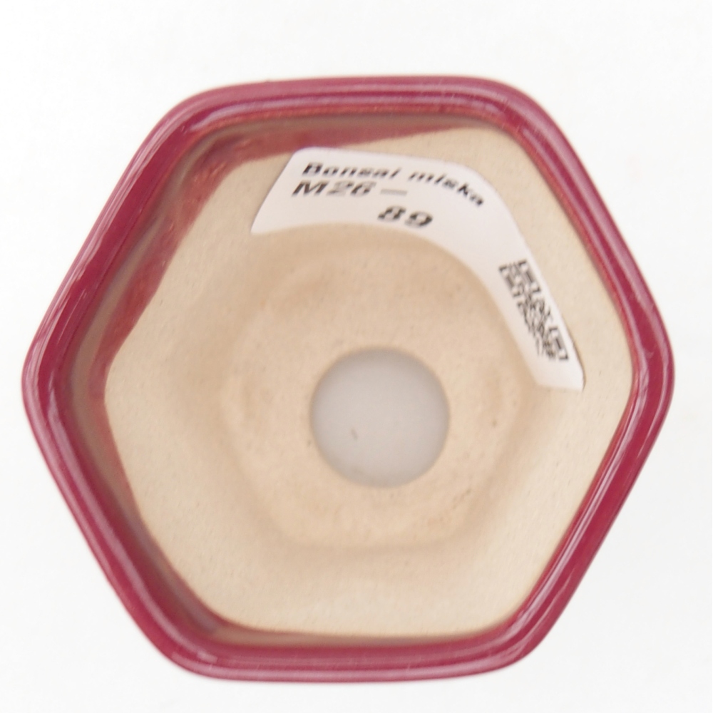 Mini miska do bonsai 5,5 x 5 x 5 cm, kolor bordowy