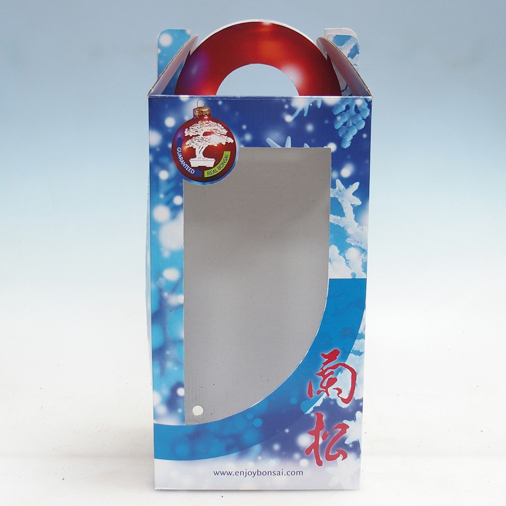 Papierowe pudełko na bonsai na prezent