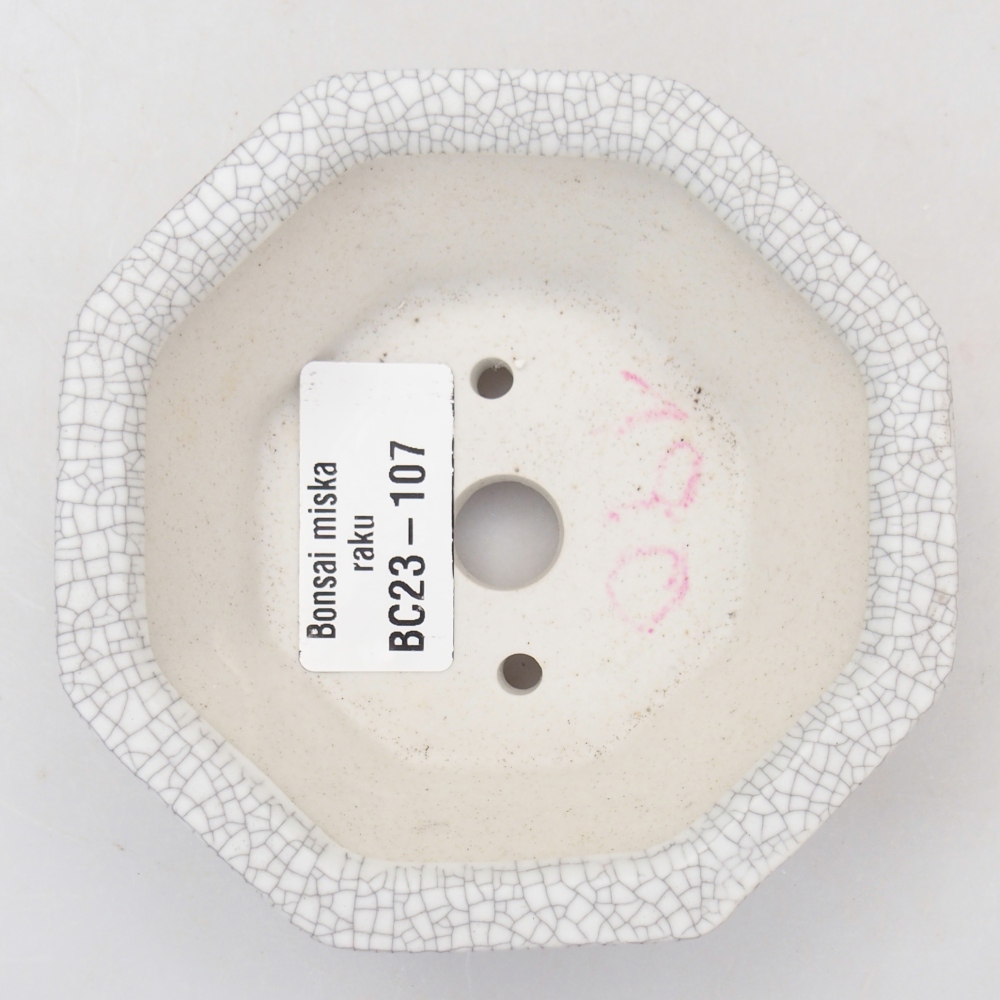 Miska 26 x 21 x 6,5 cm niebiesko-zielona