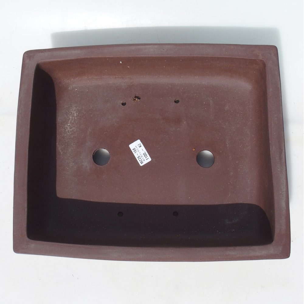 Misa bonsai 40 x 32,5 x 10,5 cm brzoza brązowa