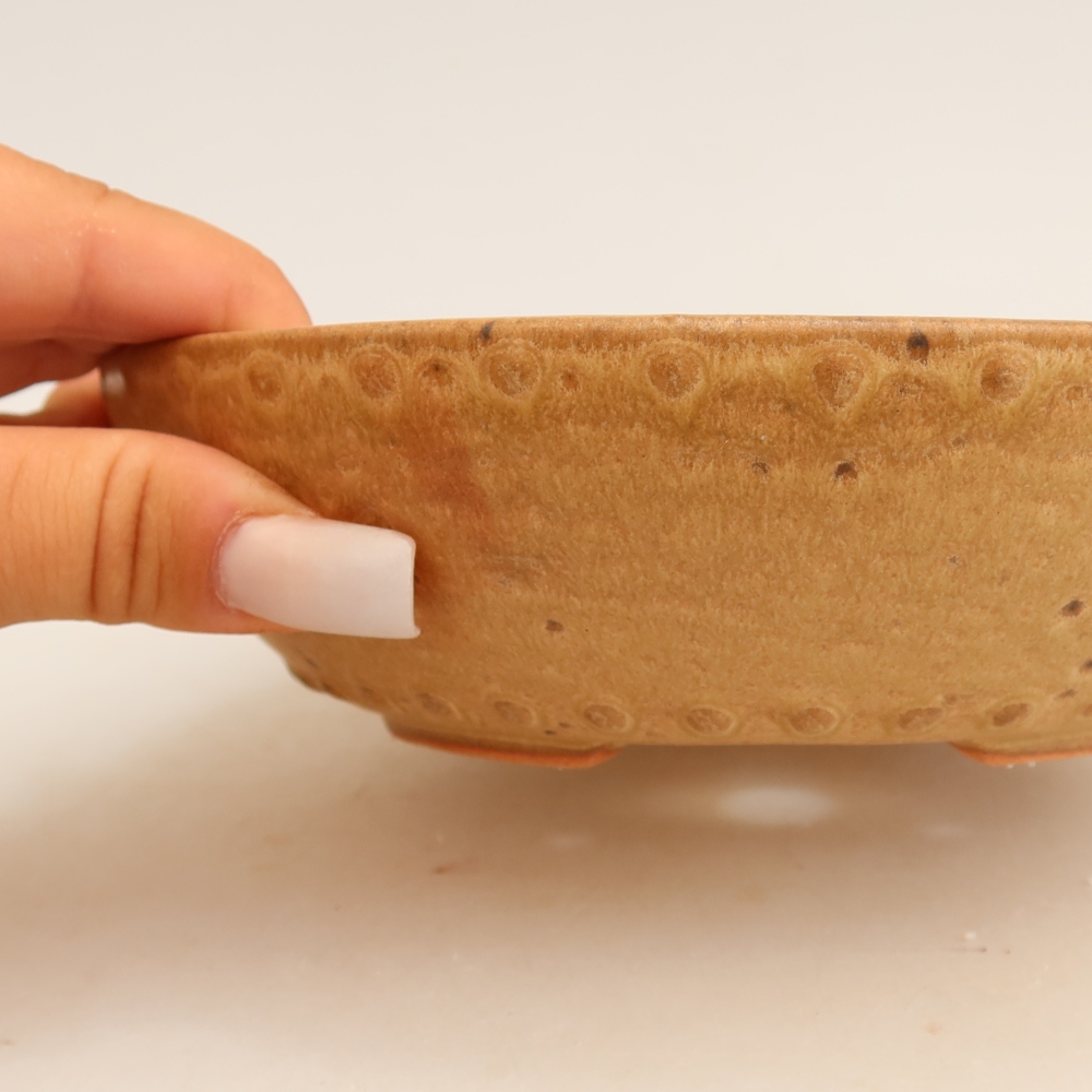Ceramiczna miska do bonsai 17,5 x 17,5 x 4,5 cm, kolor beżowy