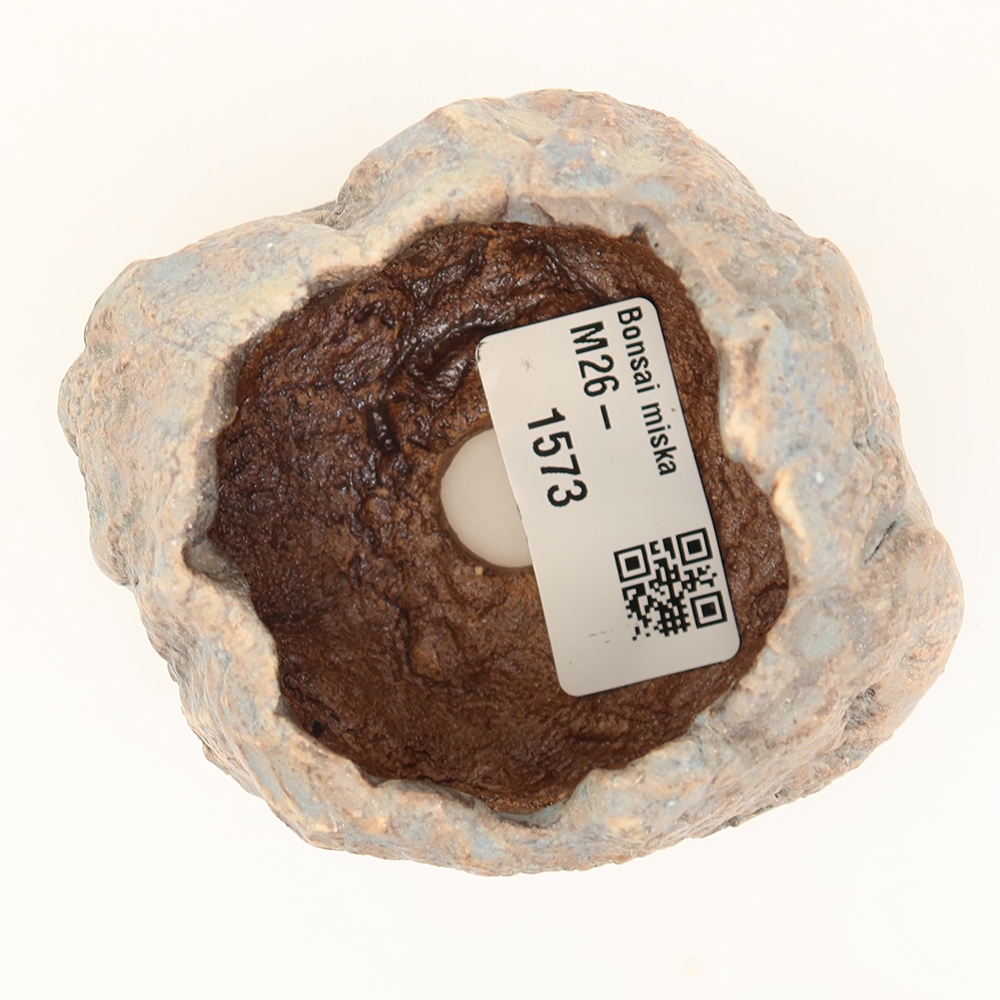 Ceramiczna skorupka  4,5 x 4 x 6 cm, kolor niebieski