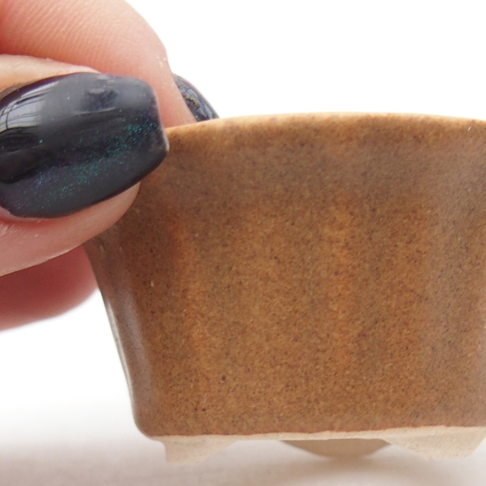 Mini miska do bonsai 5,5 x 5,5 x 3 cm, brązowa