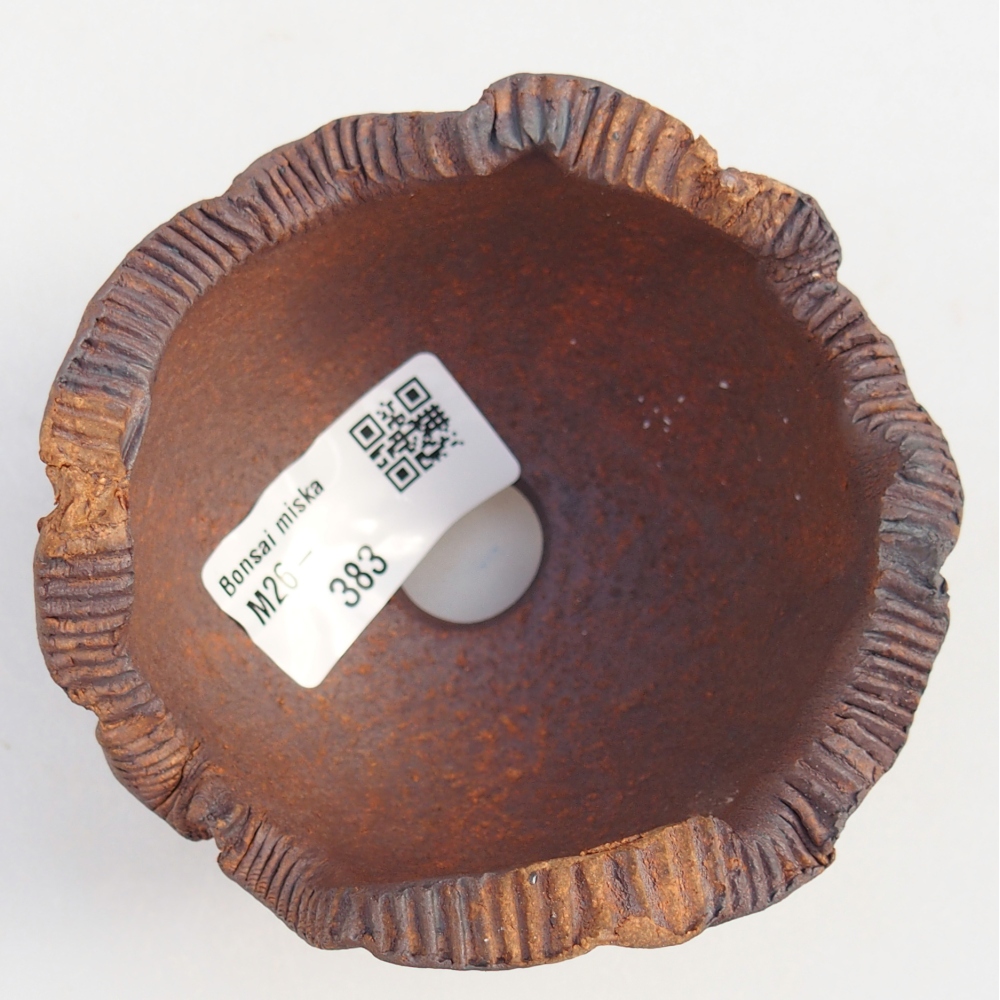 Ceramiczna muszla 9 x 9 x 7 cm, kolor brązowy