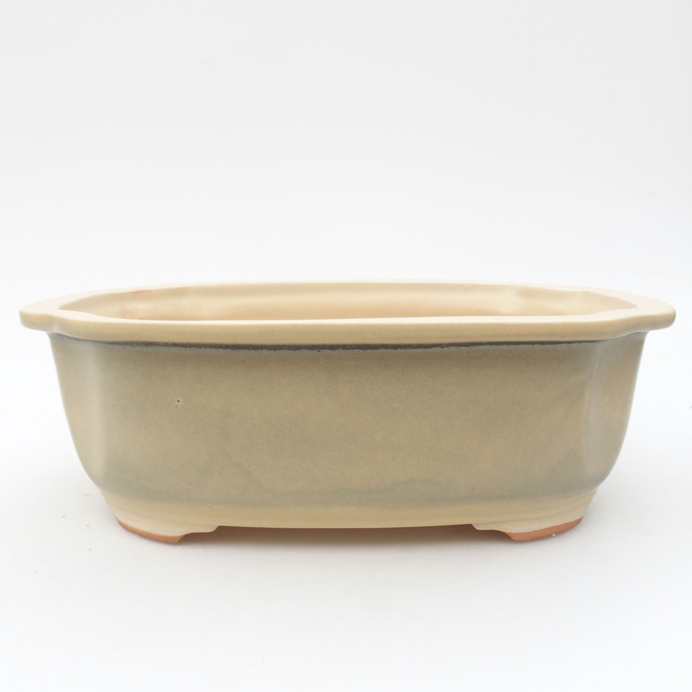Ceramiczna miska bonsai 22,5 x 17,5 x 7,5 cm, kolor beżowy
