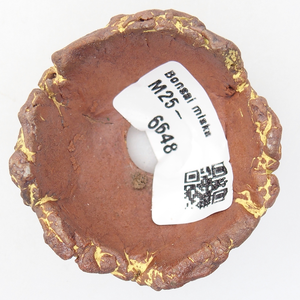 Muszla ceramiczna 5,5 x 5 x 4 cm, kolor żółty