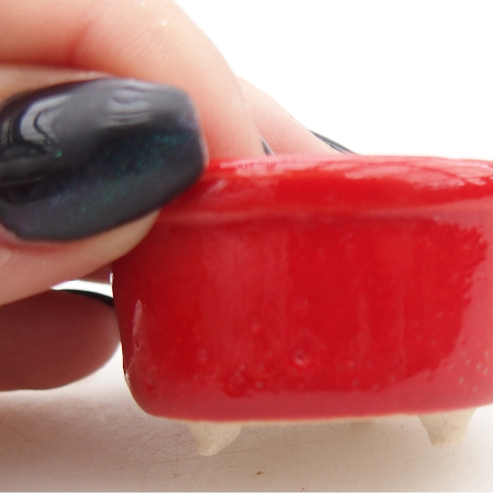 Mini miska do bonsai 4 x 4 x 2,5 cm, kolor czerwony