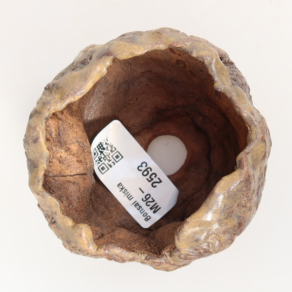 Ceramiczna skorupka  7,5 x 7,5 x 5,5 cm, kolor brązowy