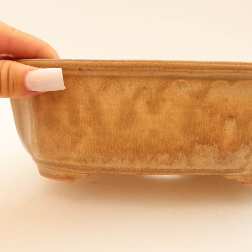 Ceramiczna miska do bonsai 22,5 x 17,5 x 7,5 cm, kolor beżowy