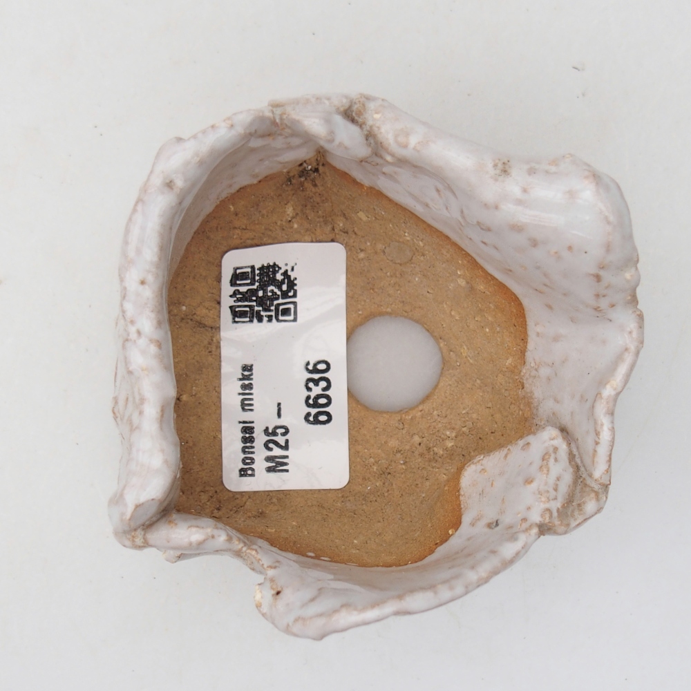 Muszla ceramiczna 8 x 7 x 4,5 cm, kolor biały