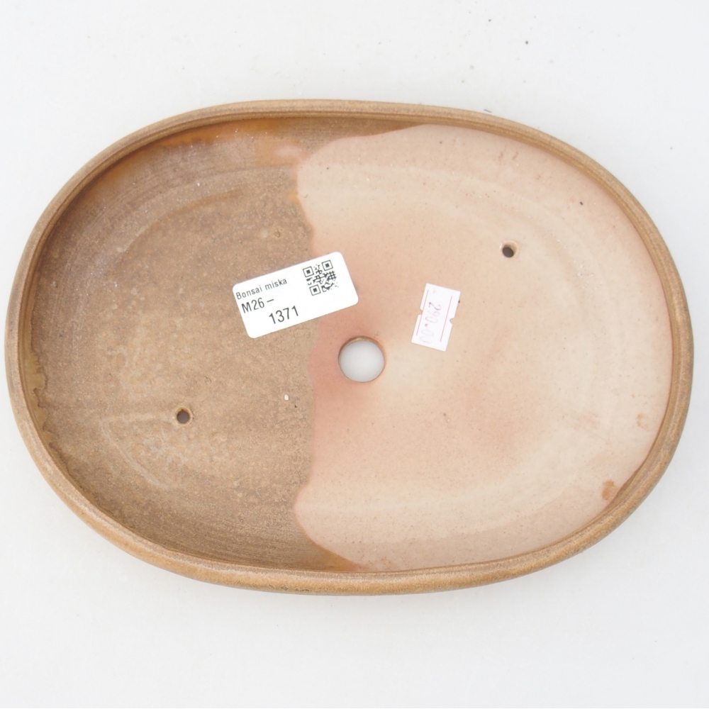 Ceramiczna miska do bonsai 22,5 x 16,5 x 3 cm, kolor beżowy
