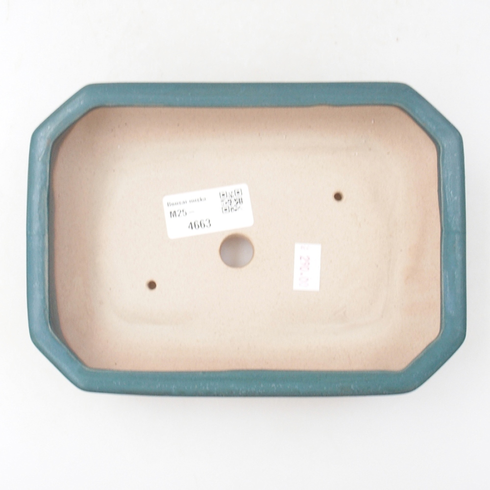 Ceramiczna miska bonsai 19 x 13,5 x 4,5 cm, kolor niebieski