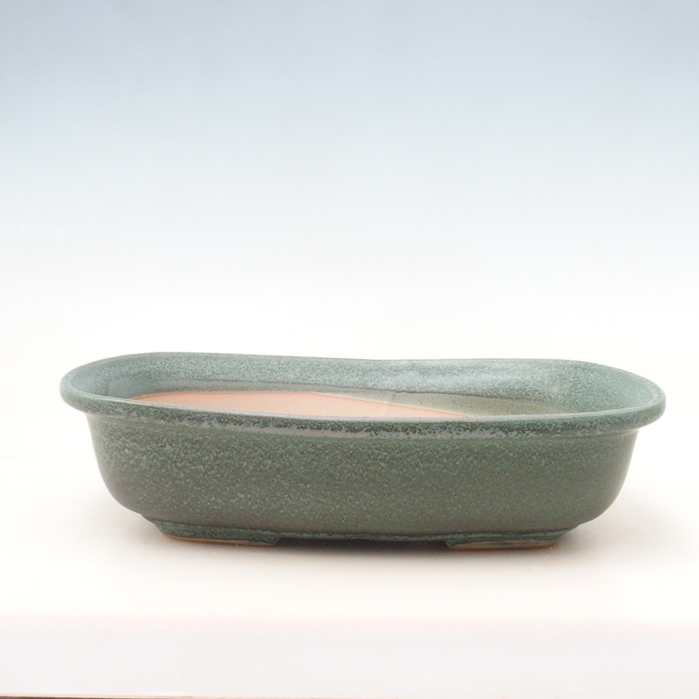 Bonsai bowl H10 - 37 x 28 x 9 cm. - zielony