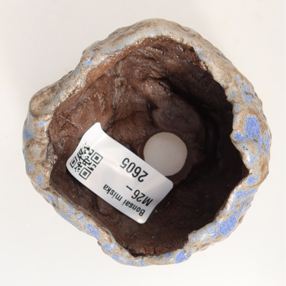 Ceramiczna skorupa  7 x 7 x 5 cm, kolor niebiesko-brązowy