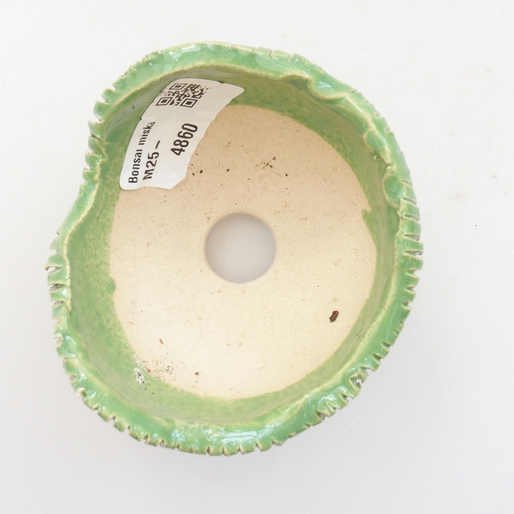 Muszla ceramiczna 7,5 x 7,5 x 5,5 cm, kolor zielony