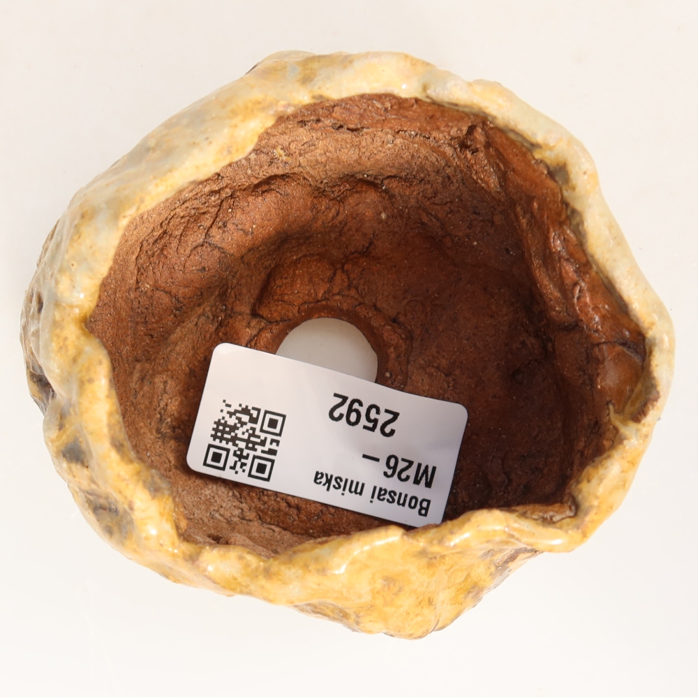 Ceramiczna skorupka  7,5 x 7 x 6 cm, kolor brązowy