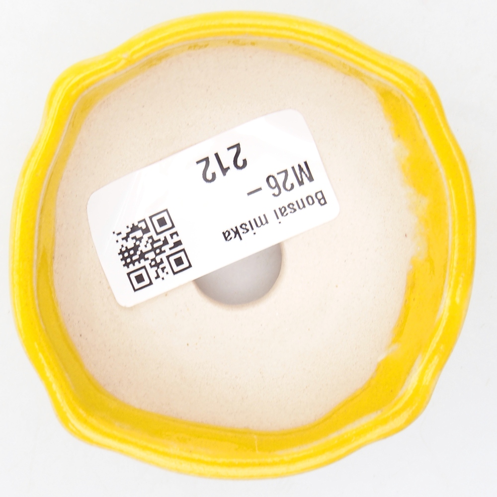 Mini miska do bonsai 6,5 x 6,5 x 2,5 cm, żółta