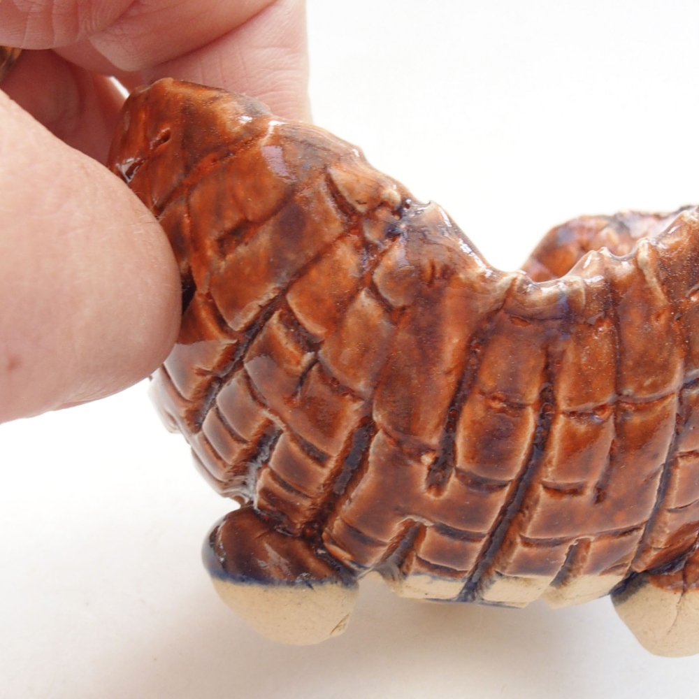 Muszla ceramiczna 7,5 x 7 x 6 cm, kolor brązowy