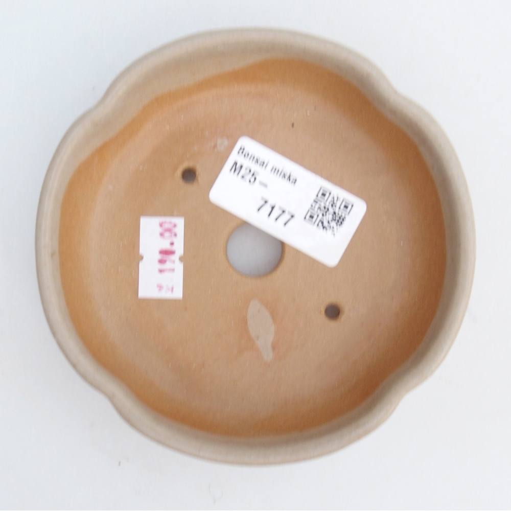 Ceramiczna miska na bonsai 11 x 11 x 3 cm, kolor beżowy