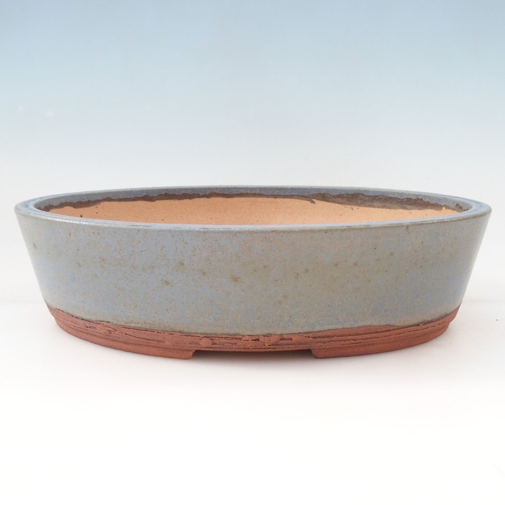 Misa do bonsai 33 x 26 x 8 cm, kolor niebieski
