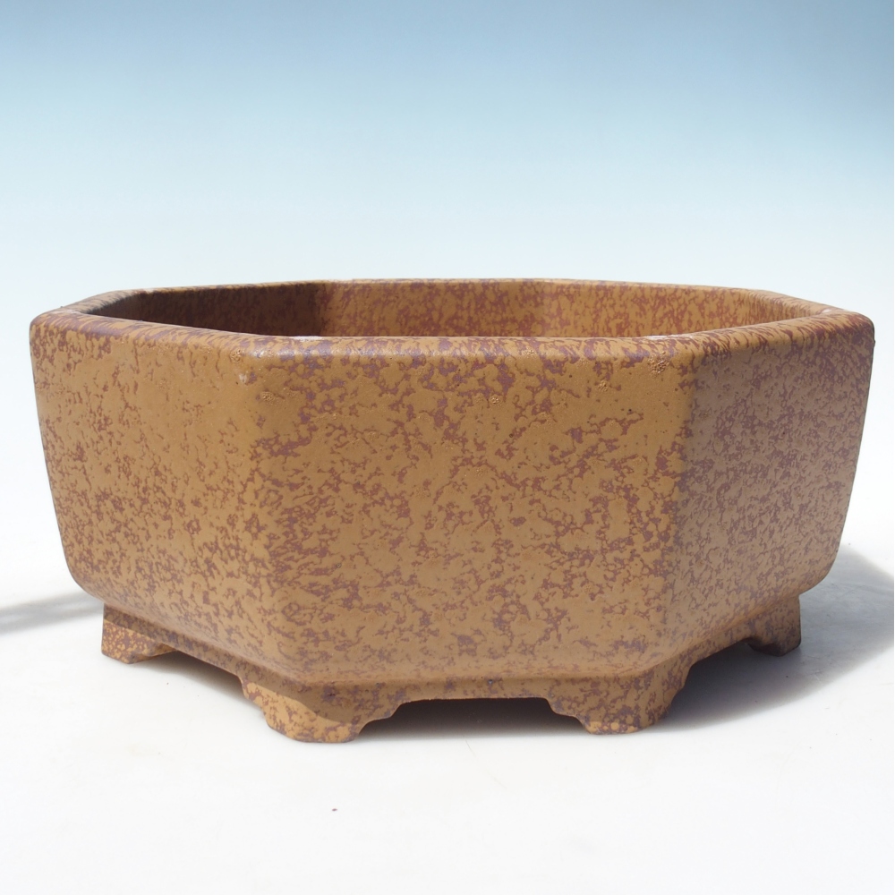 Miska 34 x 32 x 13 cm
