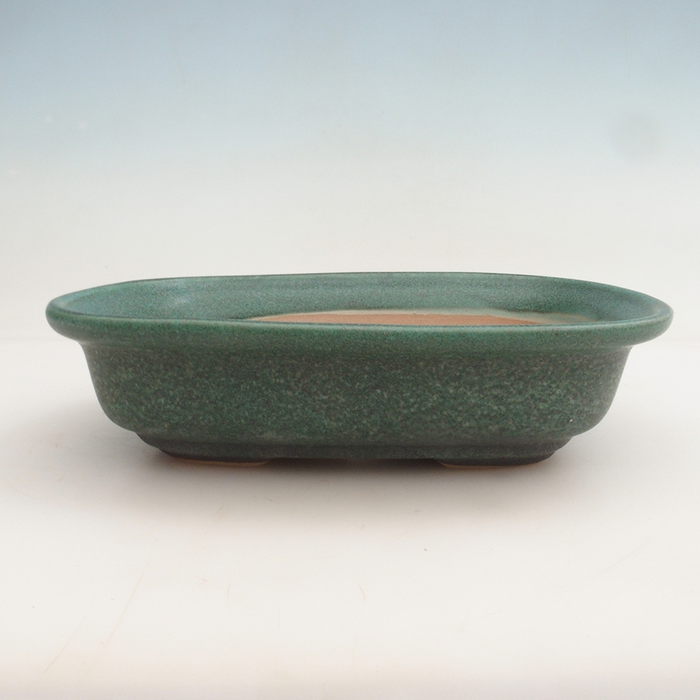 Bonsai bowl + spodek H25 - 23 x 17 x 5,5 cm. - zielony