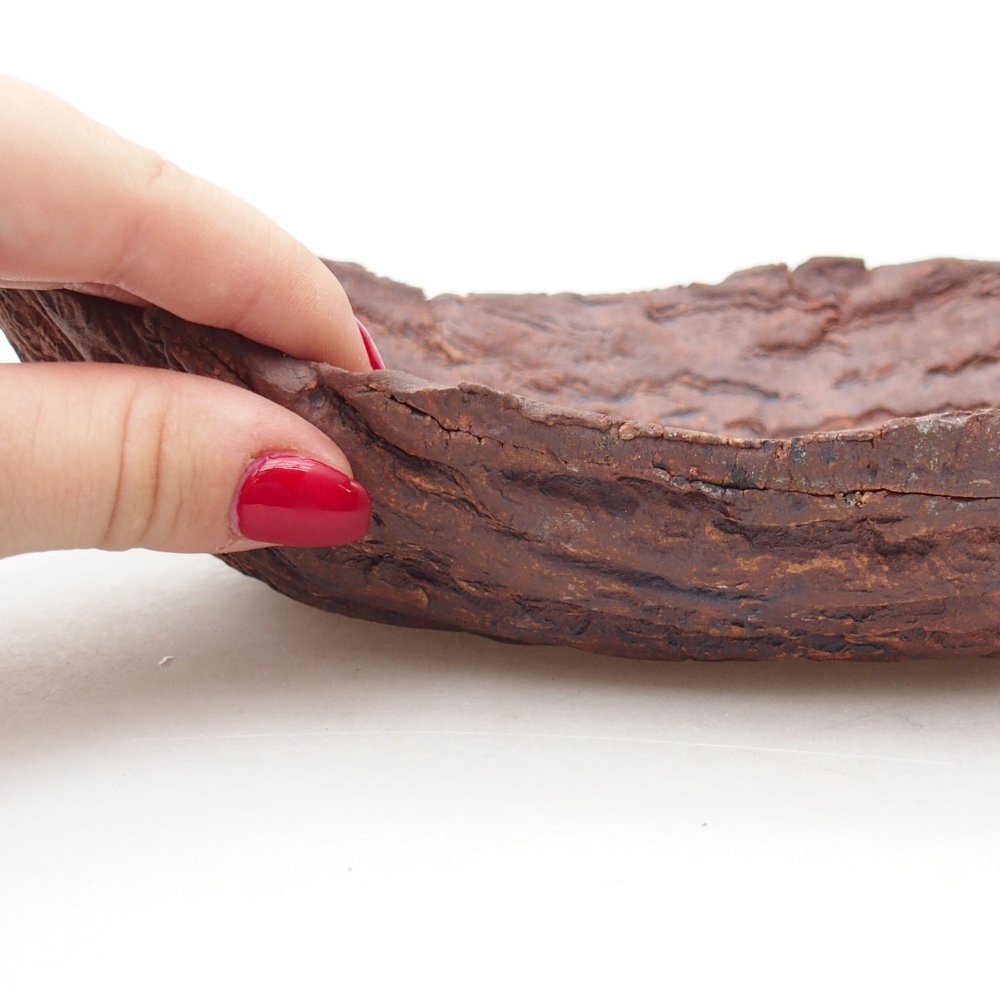 Ceramiczna muszla 27 x 19 x 7 cm, kolor brązowy