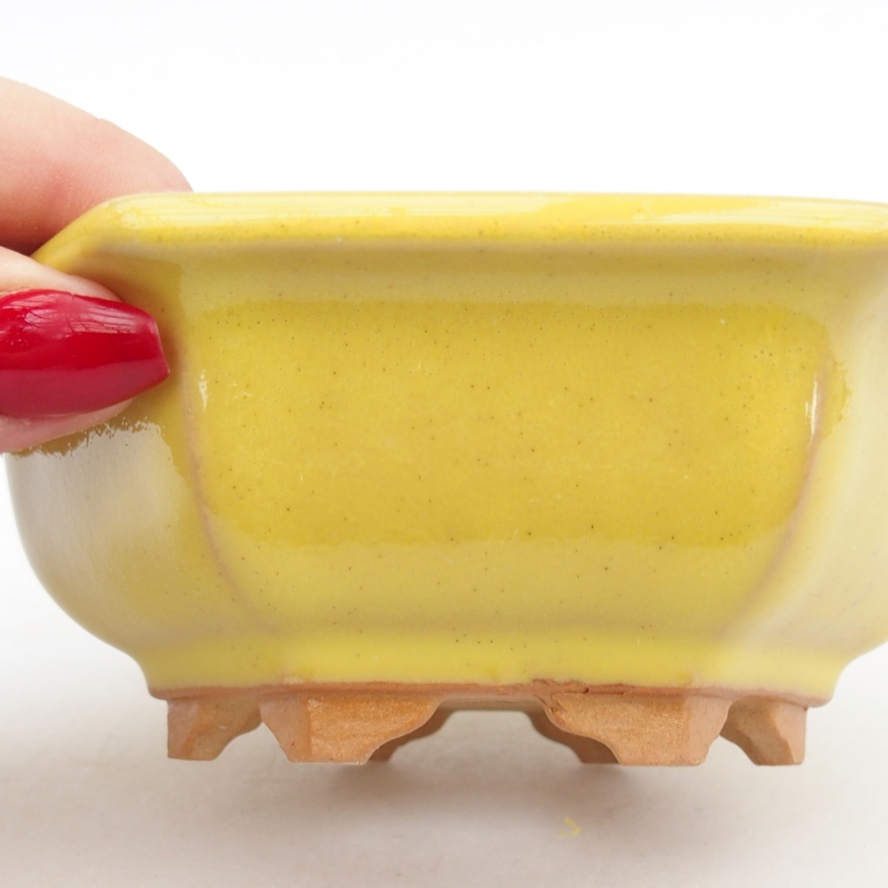 Ceramiczna miska do bonsai 12 x 10,5 x 4,5 cm, żółta