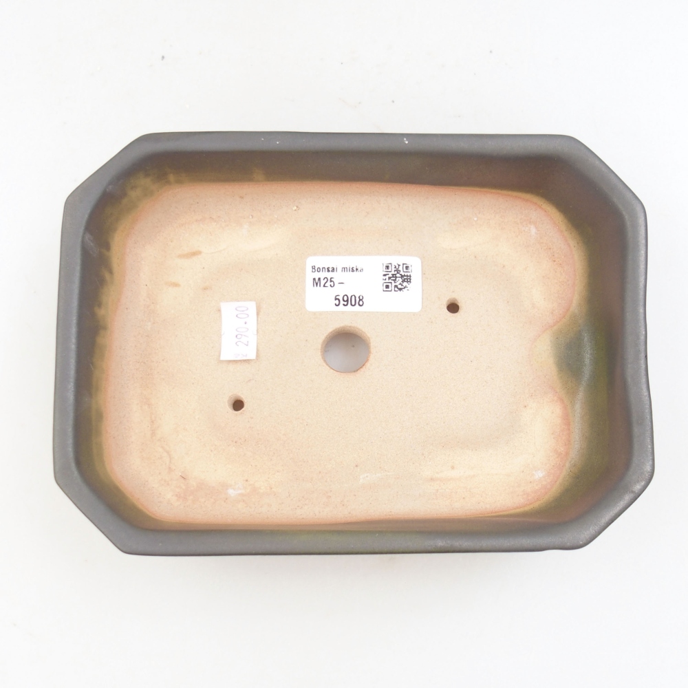 Ceramiczna miska bonsai 19 x 13,5 x 4,5 cm, kolor szary