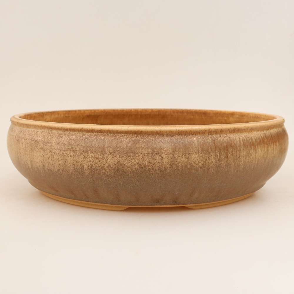 Ceramiczna miska do bonsai 31 x 31 x 8 cm, kolor beżowy