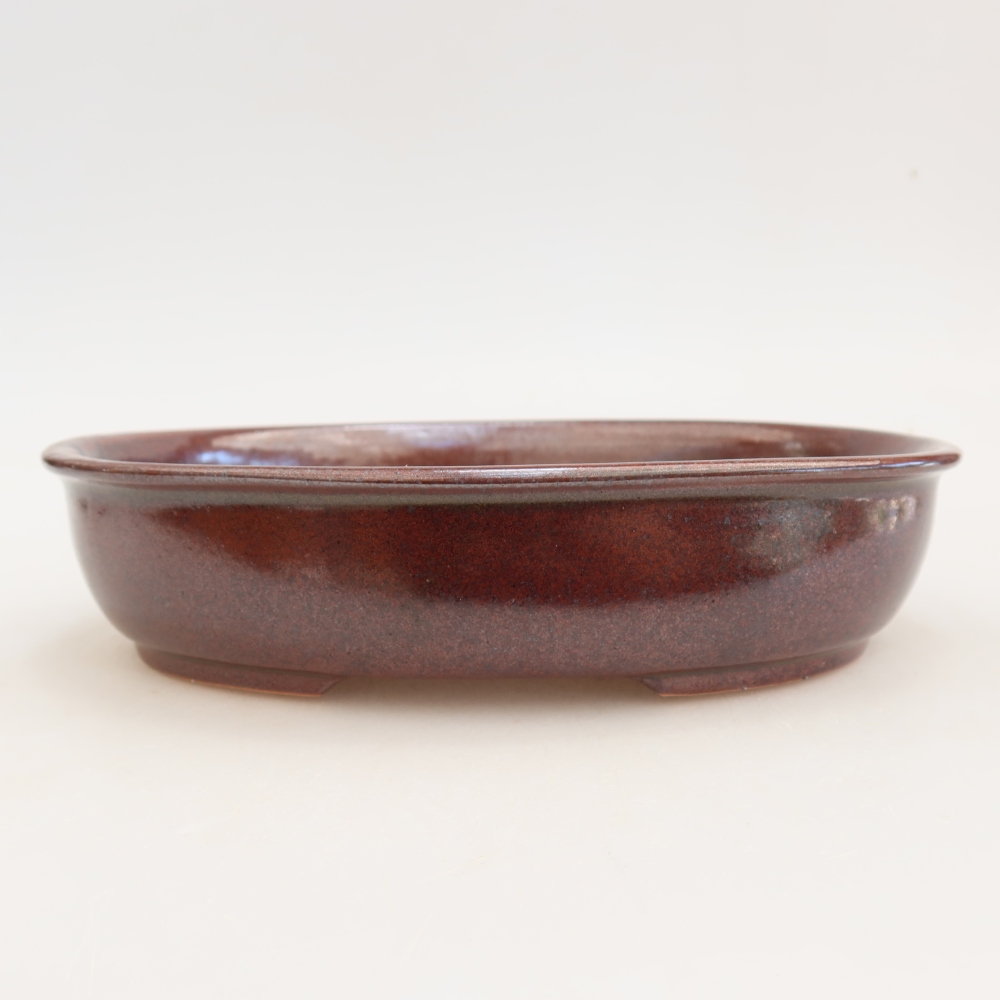 Ceramiczna miska do bonsai 22 x 17 x 5 cm, kolor bordowy