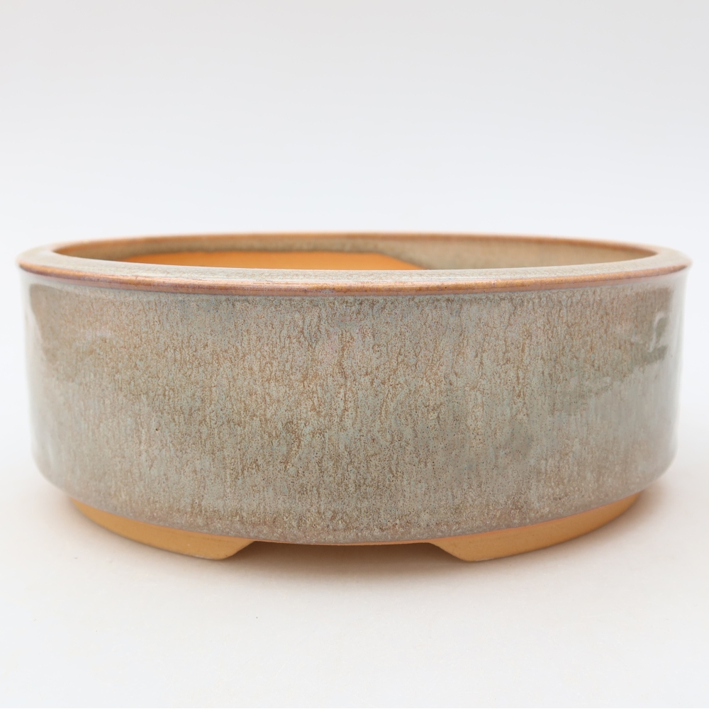 Ceramiczna miska do bonsai 19 x 19 x 6,5 cm, kolor beżowy
