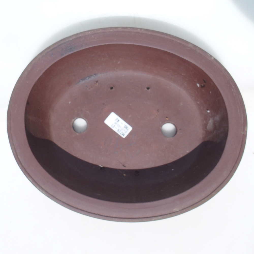 Misa bonsai 33 x 27 x 8,5 cm brzoza brązowa