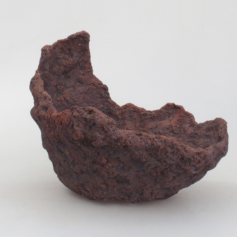 Muszla ceramiczna 18 x 15 x 18 cm, kolor brązowy