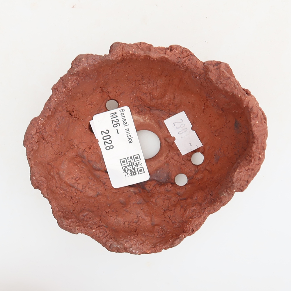 Ceramiczna skorupa 10 x 8 x 7 cm, kolor brązowy