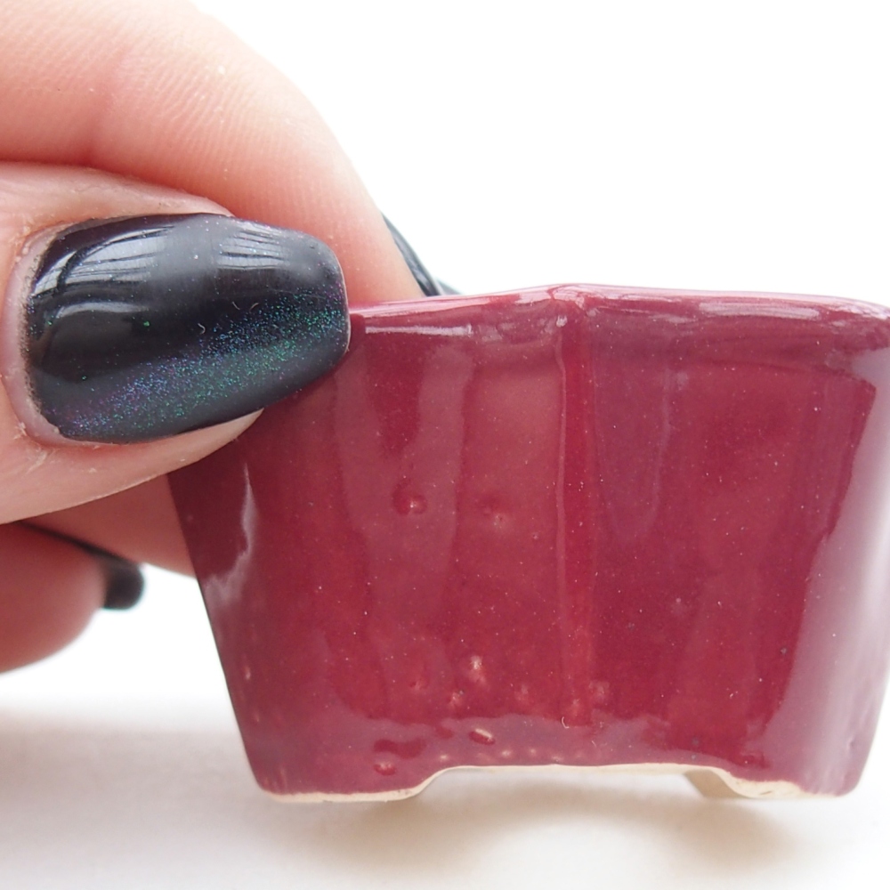 Mini miska do bonsai 4,5 x 3 x 2,5 cm, kolor bordowy