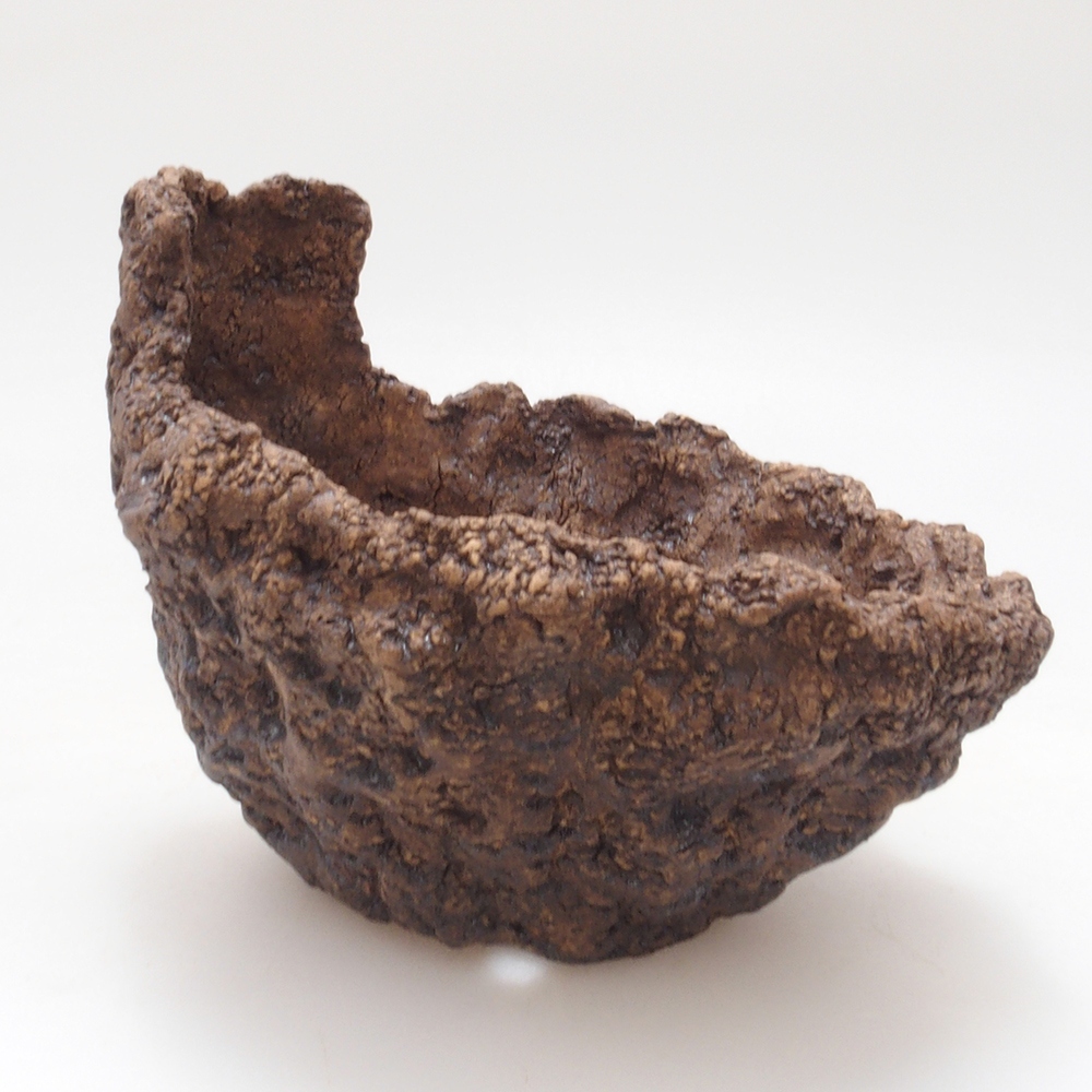 Muszla ceramiczna 9 x 8 x 8,5 cm, kolor brązowy