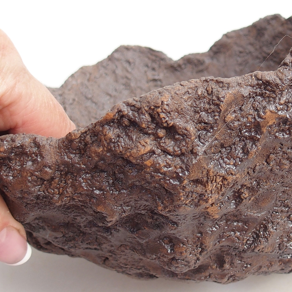 Ceramiczna skorupa 19 x 15 x 14 cm, kolor brązowy