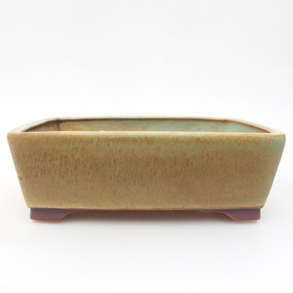 Ceramiczna miska do bonsai 15 x 12 x 5 cm, zielona