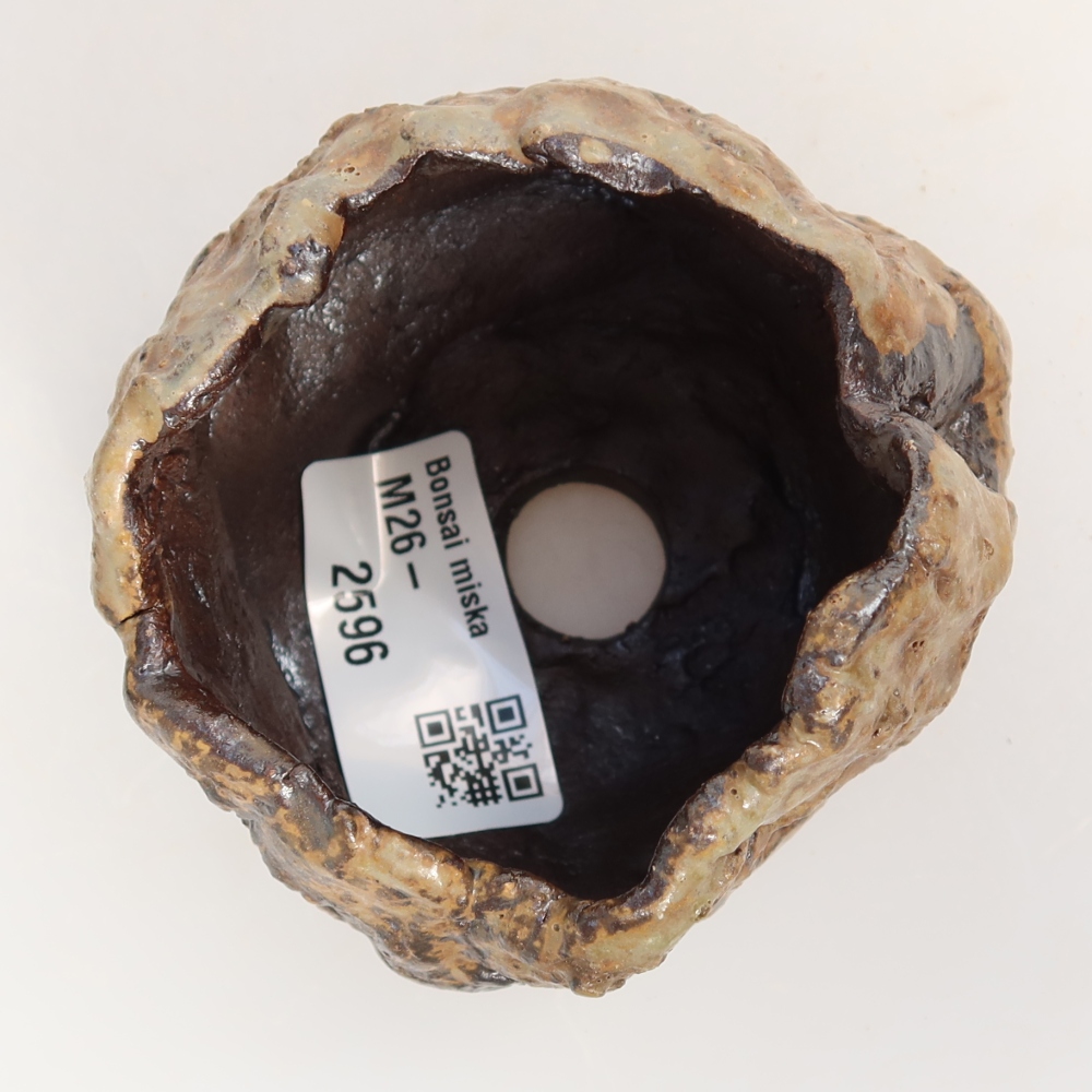 Ceramiczna skorupka  7,5 x 6,5 x 6 cm, kolor brązowy