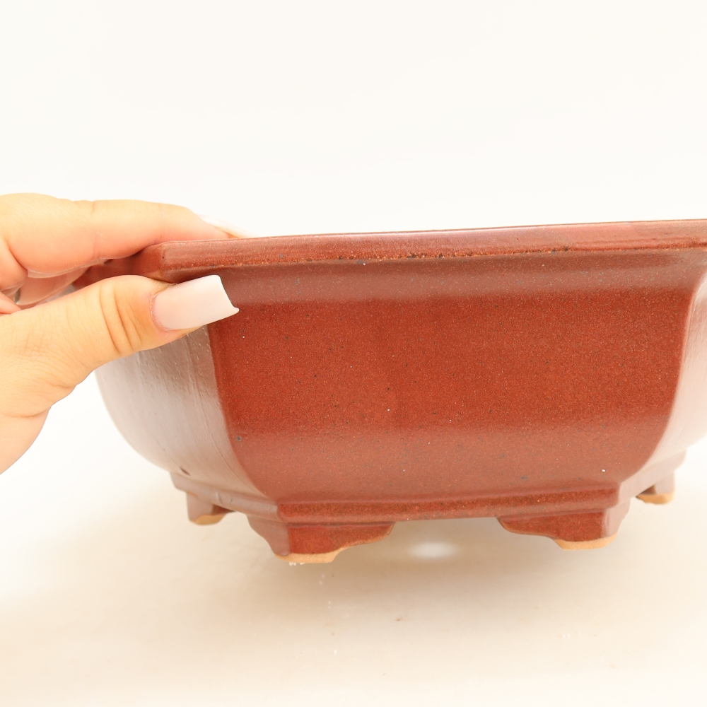 Ceramiczna miska do bonsai 28 x 24,5 x 9 cm, kolor bordowy