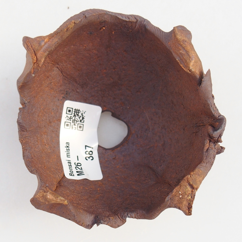 Muszla ceramiczna 9 x 9 x 6,5 cm, kolor brązowy