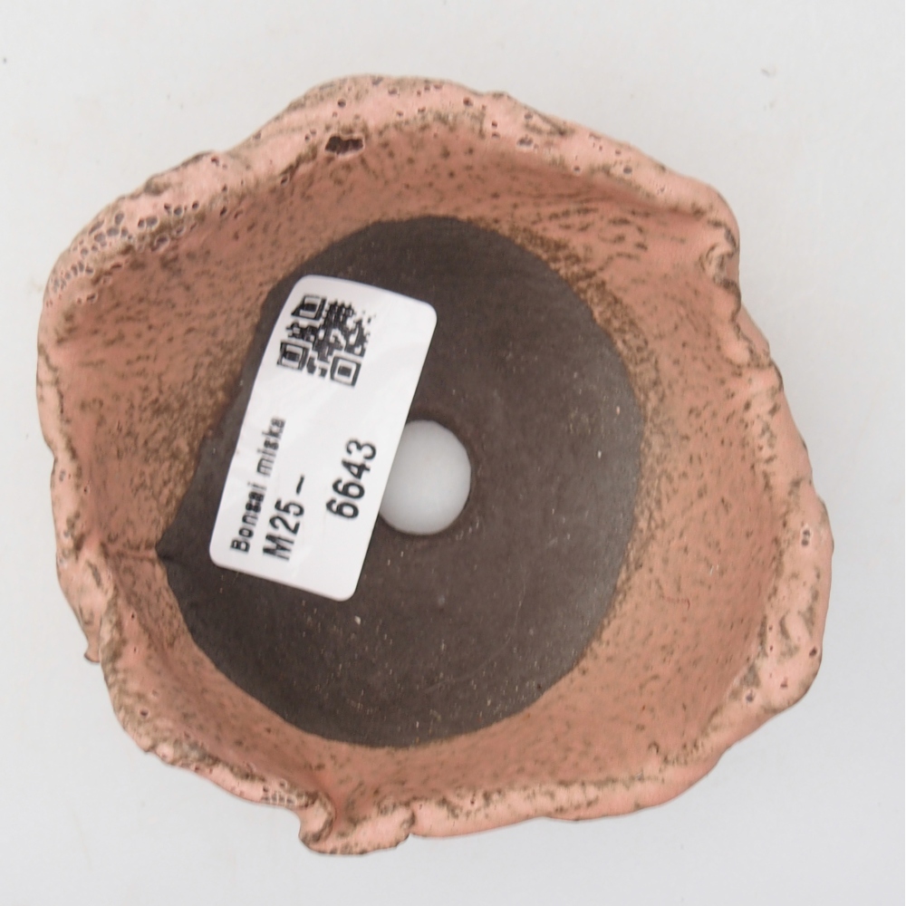 Ceramiczna muszla 9 x 8,5 x 4,5 cm, kolor różowy