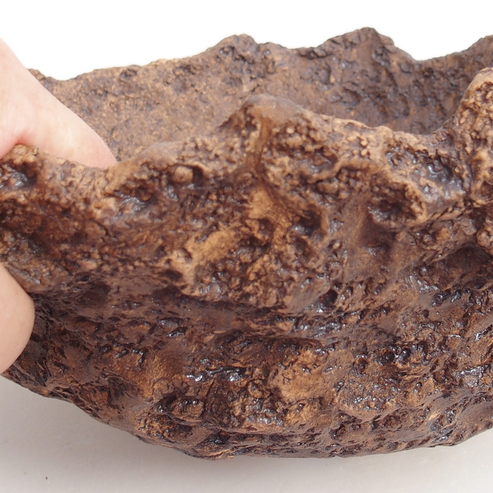 Ceramiczna skorupa 19 x 15 x 14 cm, kolor brązowy