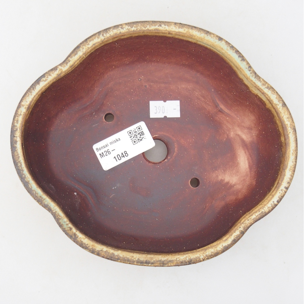 Ceramiczna miska do bonsai 17 x 15,5 x 5,5 cm, zielona