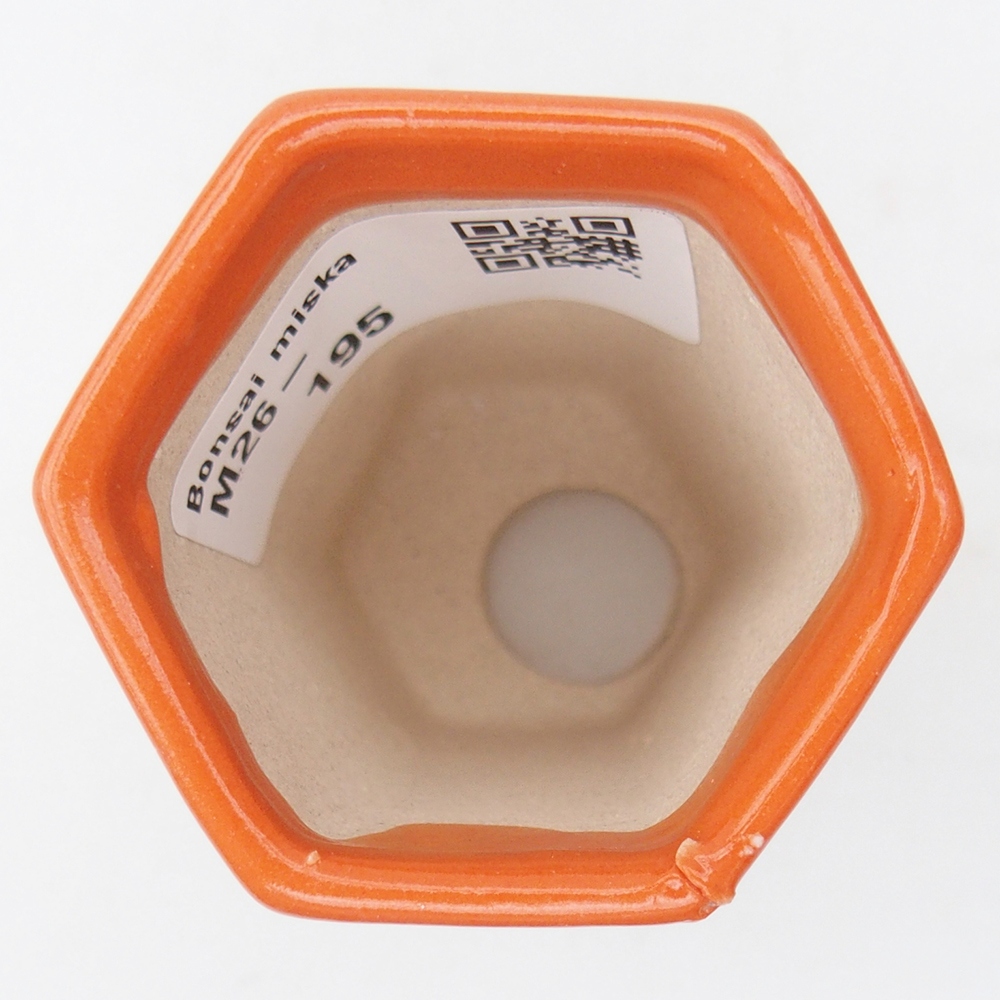 Mini miska do bonsai 5 x 4,5 x 6,5 cm, pomarańczowa