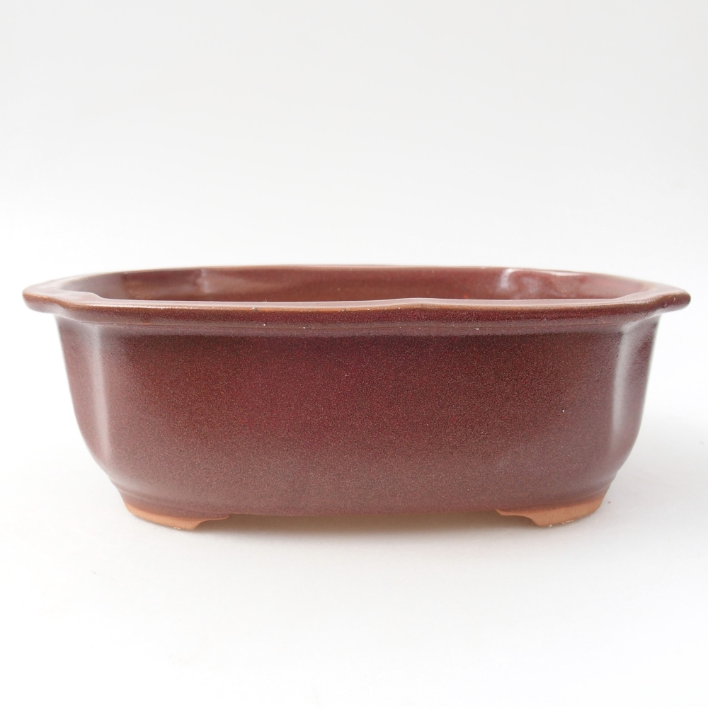 Ceramiczna miska bonsai 22 x 18 x 7 cm, kolor bordowy