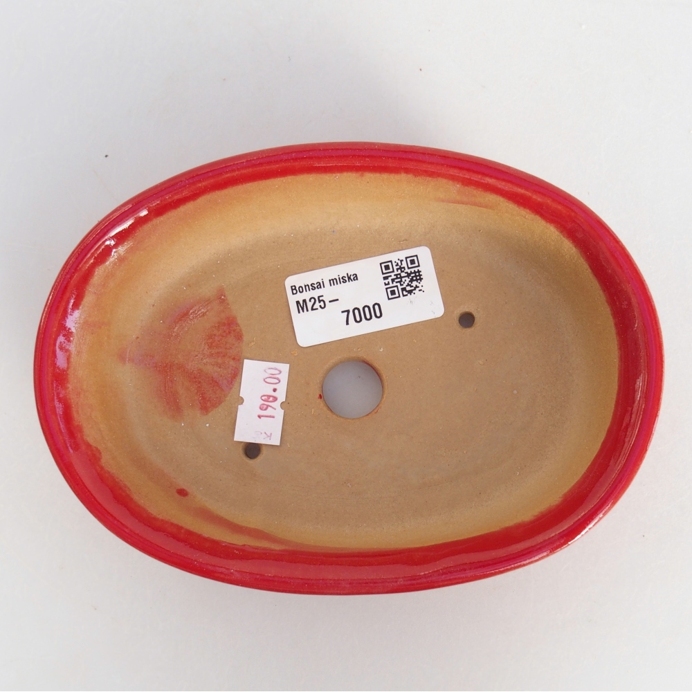 Ceramiczna miska do bonsai 15 x 10,5 x 3,5 cm, kolor czerwony